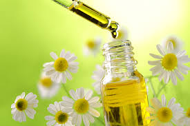 Chiết xuất Cúc la mã / Chamomilla Recutita Flower Extract